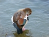 2011924-Borghetto-fauna del Mincio