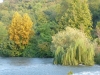 2011924-Borghetto-il fiume Mincio
