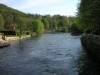 20110409-Borghetto-il fiume Mincio