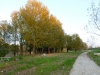 Legnago - Lungadige