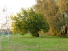 Legnago - Lungadige