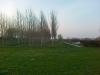 20032015451.jpg