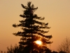 20121115-tramonto-a-legnago-2