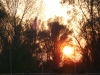 20121116-tramonto-1