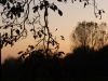 20121116-tramonto-2