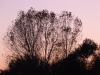 20121116-tramonto-5
