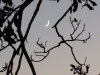 20121116_tramonto